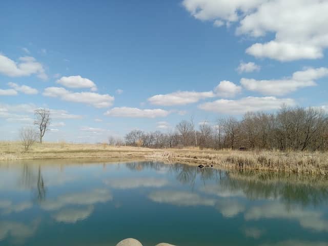 Willow Pond - Image 2