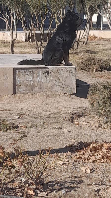 Valiásr Park - Image 1