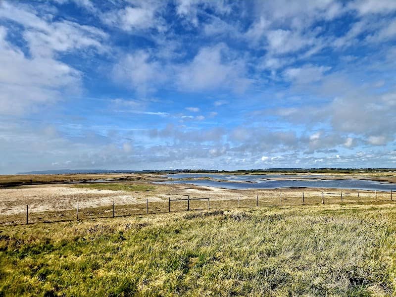 Rye Harbour Nature Reserve - Image 2