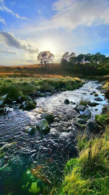 Sean Kelly Bridge - Image 1