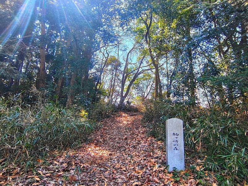駒ケ崎の森 - Image 1