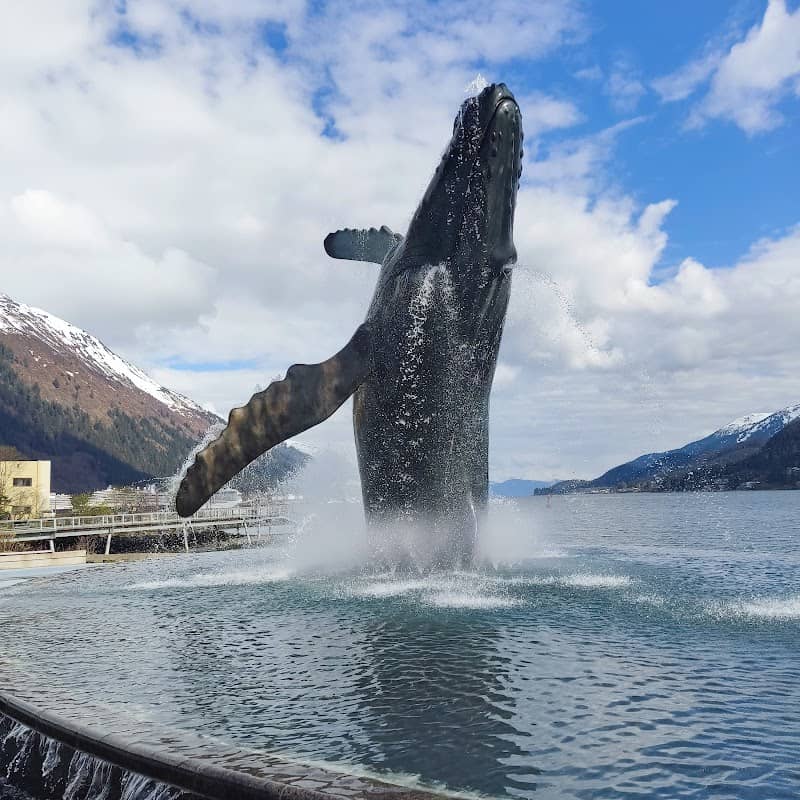The Whale Project - Image 2