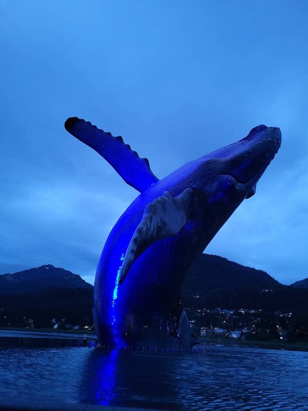 The Whale Project - Image 1