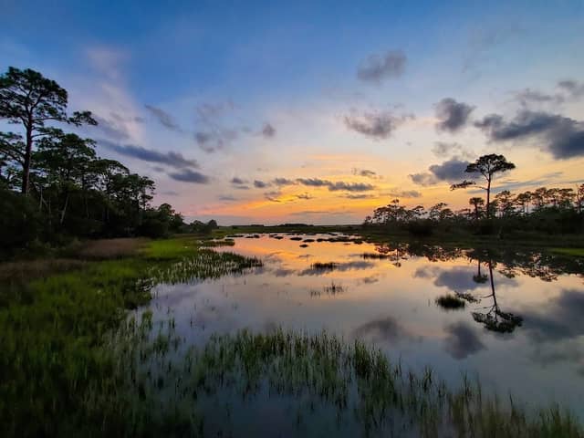 Marsh Island Park ~ View Tower ~ Kiawah Conservancy - Image 1