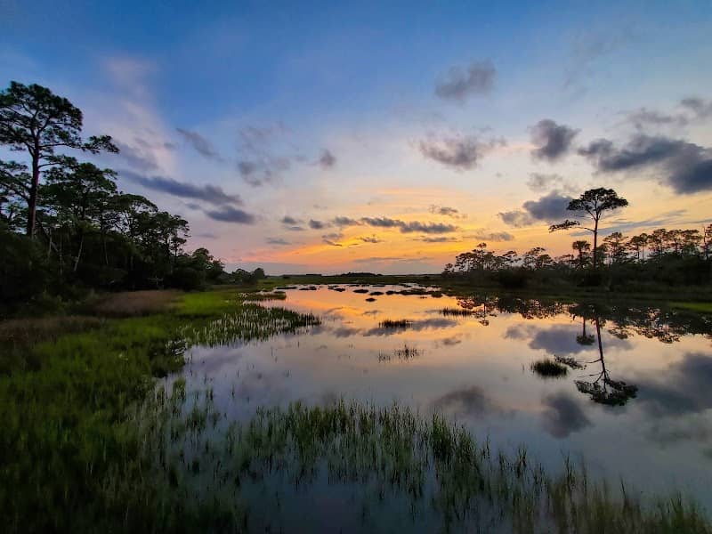 Marsh Island Park ~ View Tower ~ Kiawah Conservancy - Image 1