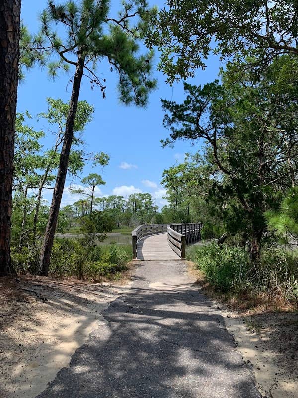 Marsh Island Park ~ View Tower ~ Kiawah Conservancy - Image 3