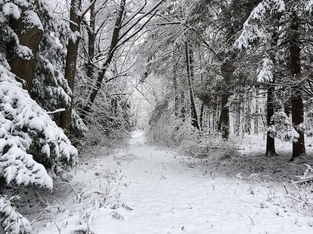 Brock's Lookout Nature Preserve and Walking Trail - Image 1