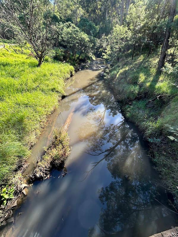 Mullum Mullum Creek Viewing Deck - Image 1