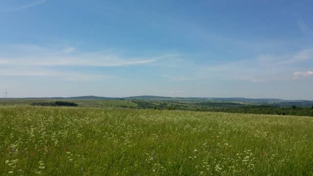 Černá louka - Image 1