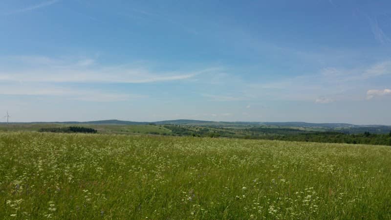 Černá louka - Image 1