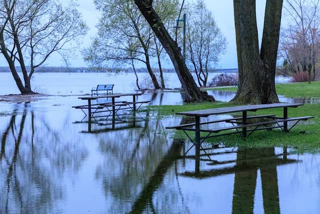 East Bayshore Park - Image 1