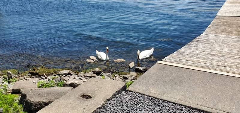 East Bayshore Park - Image 2