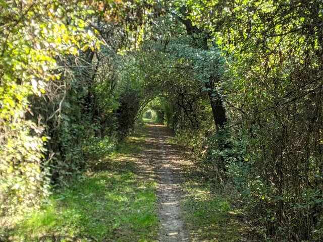Riserva Naturale Orientata della Parma Morta - Image 1