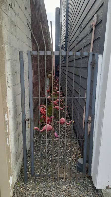 Enumclaw Flamingo Alley - Image 2