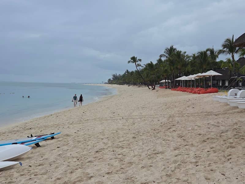 Celestin Le Morne discovery - Image 1
