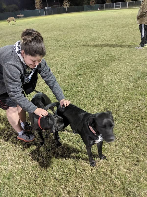 Pawsome Playground Dog Park - Image 2