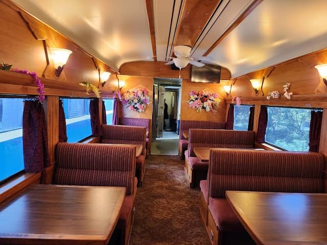 River Fox Train - Image 2