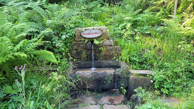Rossbrunnen - Image 1