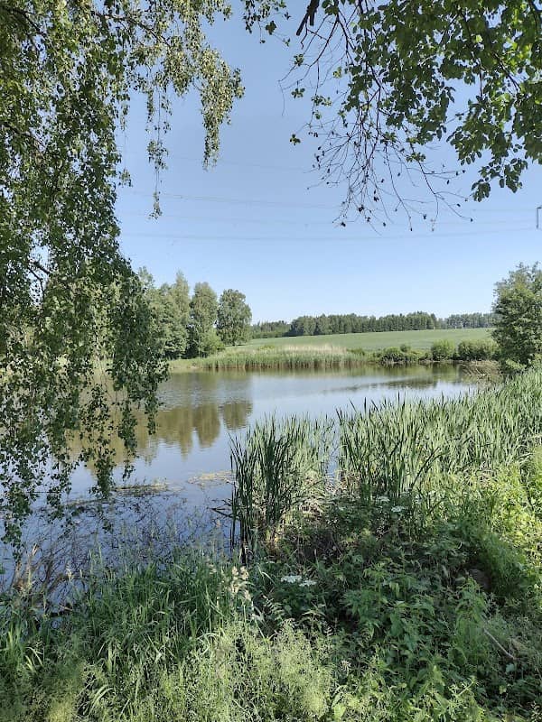 Osada Drachtiny, Hlinsko - Image 1