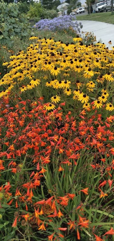 Sunrise Park - Image 1
