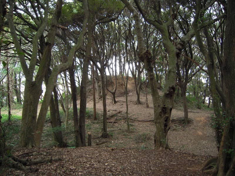 東郷高塚古墳 - Image 1