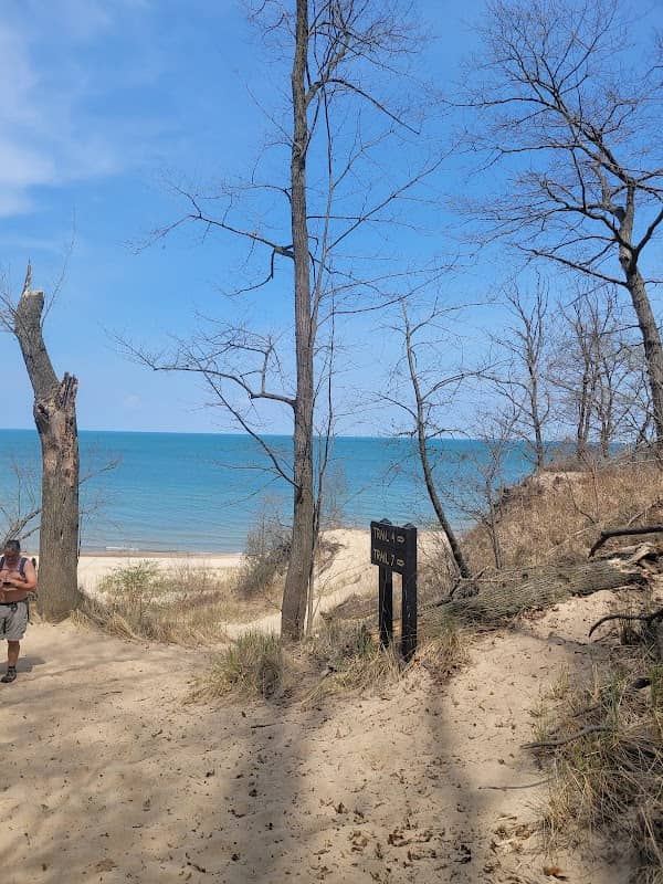 Indiana Dunes State Park Nature Center - Image 2