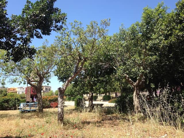Eloro District: Parco delle Rimembranze - Image 1