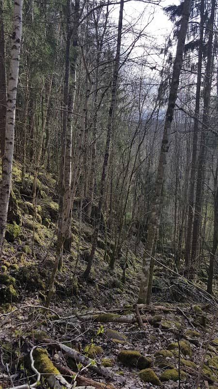 Råglandaberget - Image 2