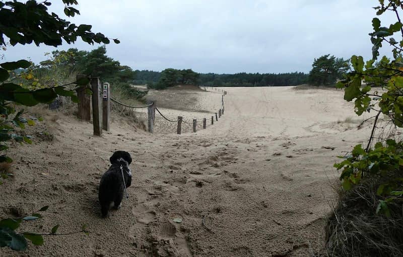 Hulshorst - Image 1