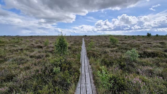 Tofte Mose - Image 1