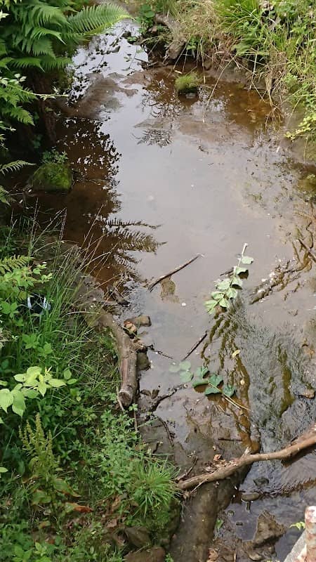 Gourock Park Gardens - Image 1
