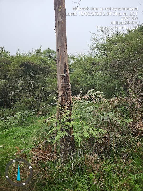 RANCHO FELICIDAD; RESERVA HIDRO, AGRO, FAUNA, FLORESTAL: , propiedad privada, adscrita al municipio de Popayán. - Image 1