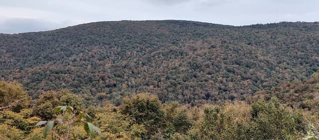 Stan Murray Shelter - Appalachian Trail - Image 2