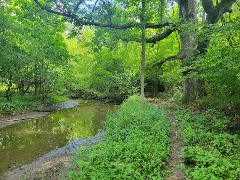 Reibel Woods - Image 2