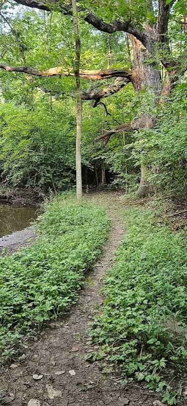 Reibel Woods - Image 1