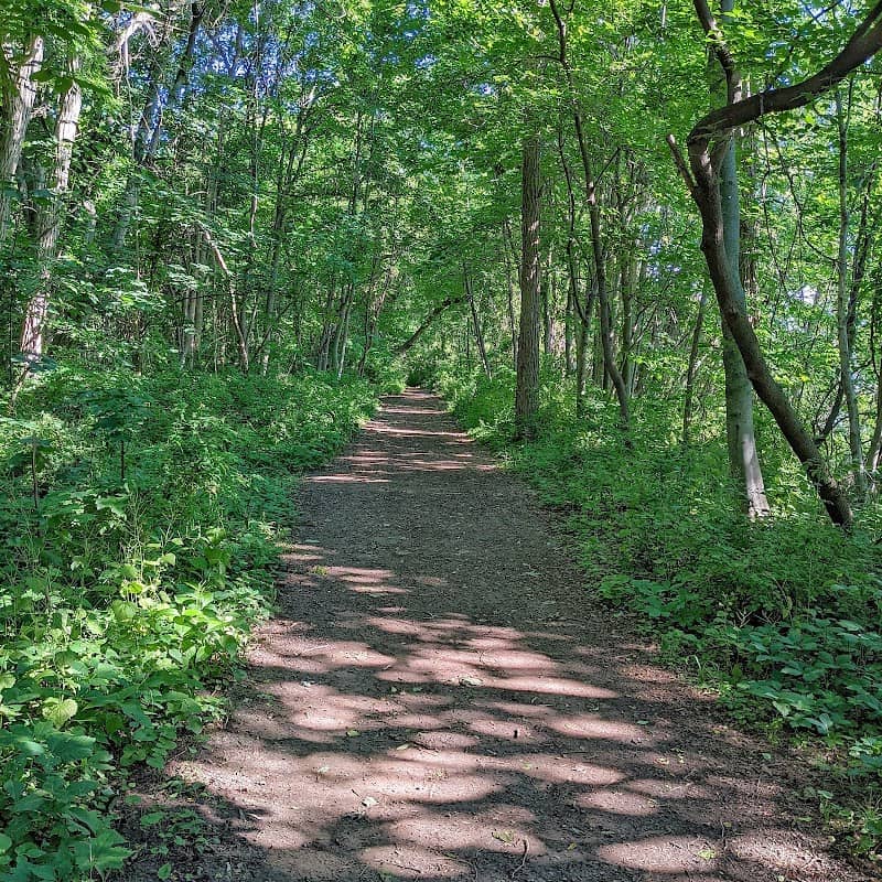 Malcolmson Eco Park - Image 2