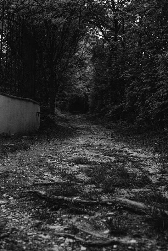Accesso Sentiero dei Morari - Image 2