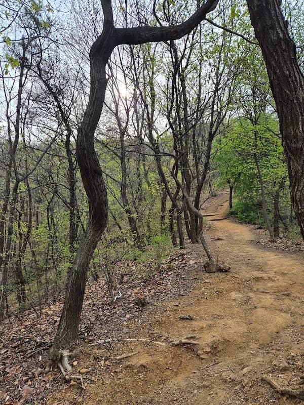 천왕산 - Image 3