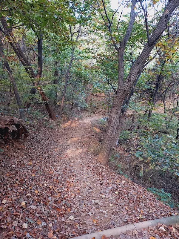 천왕산 - Image 2