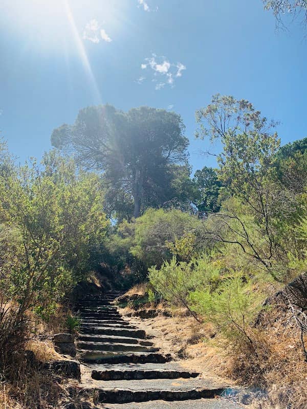 Kokoda Track Memorial Steps and Walk - Image 1