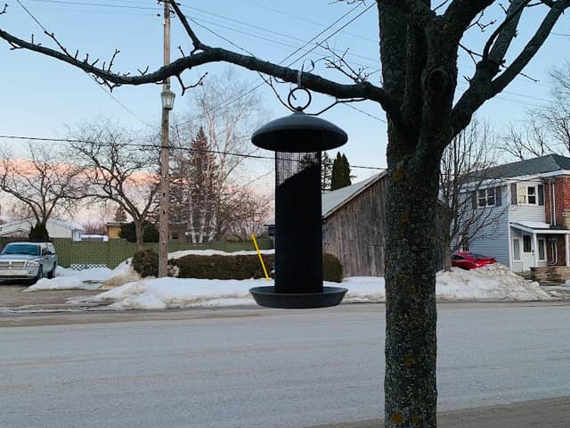 Creemore - Image 1