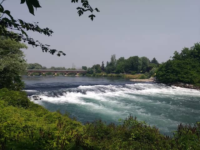 Isolotto Achilli gestito da Num Del Burgh - Image 2