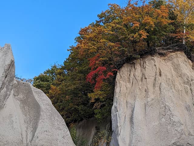 Ishiyama Green Space - Image 2
