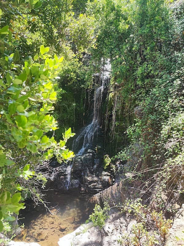 RUINAS TREN DE COYA - Image 1