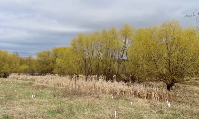 North Vernon Park - Image 2