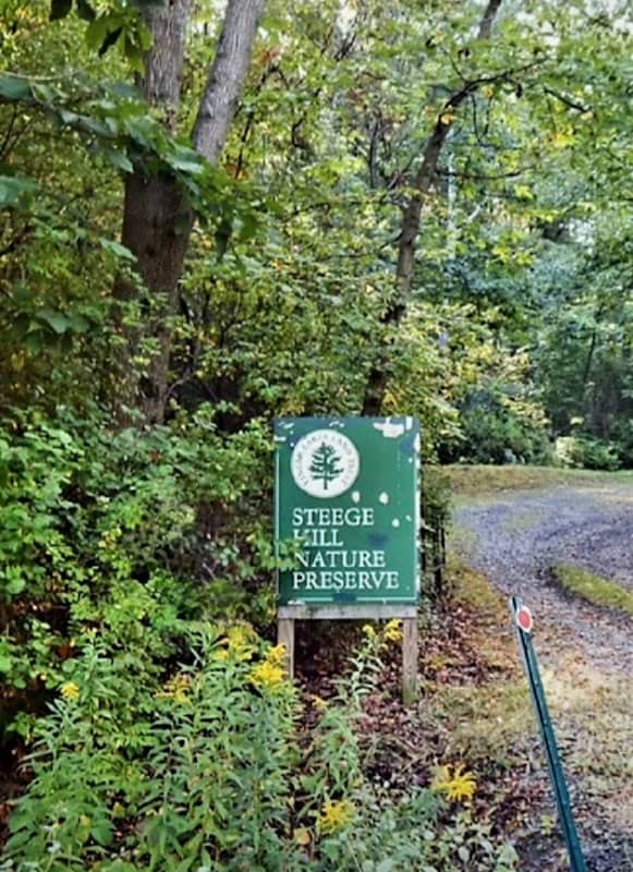 Steege Hill Nature Preserve - Image 1