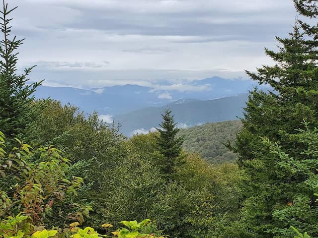 Lone Bald Overlook - Image 3