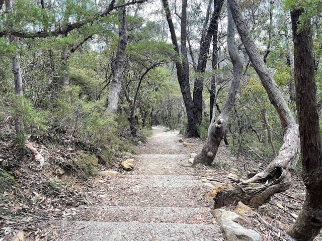 Queen Victoria Lookout - Image 3