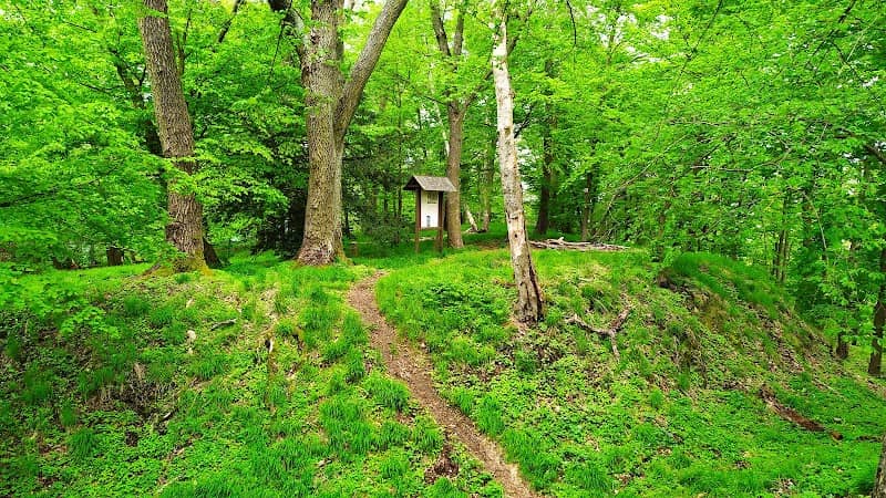 Třebovské Hradisko - Image 2