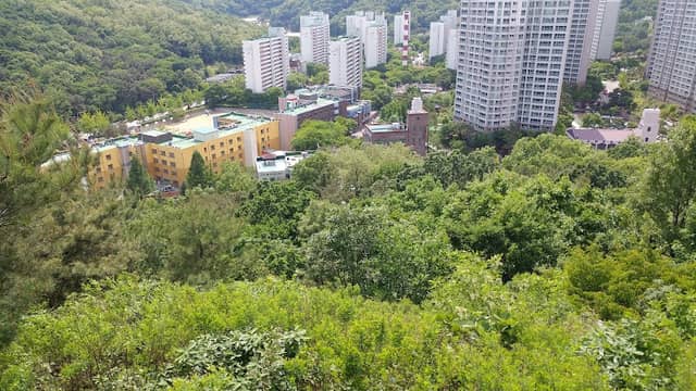 철망산공원 - Image 2